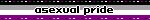 the words "asexual pride" over the asexual flag