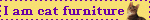 the words "i am cat furniture" with a pixelated picture of a cat on its right